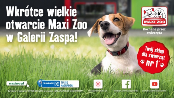 Handel, BIZNES - Wiosną br. w Galerii Zaspa otworzy się nowy sklep zoologiczny – Maxi Zoo. W lokalu dostępny będzie asortyment zarówno popularnych marek, jak również tworzących specjalistyczne produkty dla zwierząt. Maxi Zoo zajmie powierzchnię 360 mkw., Maxi ZOO otworzy się w Galerii Zaspa Handel, BIZNES - Wiosną br. w Galerii Zaspa otworzy się nowy sklep zoologiczny – Maxi Zoo. W lokalu dostępny będzie asortyment zarówno popularnych marek, jak również tworzących specjalistyczne produkty dla zwierząt. Maxi Zoo zajmie powierzchnię 360 mkw.